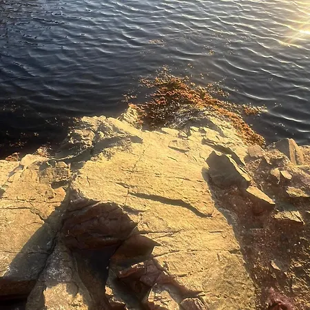 Апартамент Paradise With A Sea View