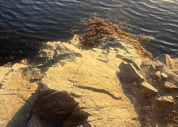 Apartamento Paradise With A Sea View